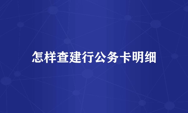 怎样查建行公务卡明细