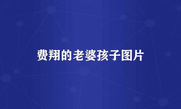 费翔的老婆孩子图片