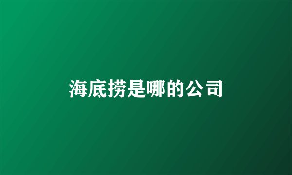 海底捞是哪的公司