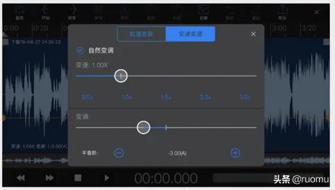 手机上有什么降调软件？