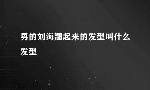 男的刘海翘起来的发型叫什么发型