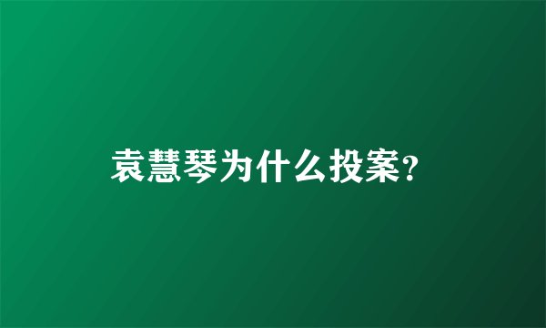 袁慧琴为什么投案？