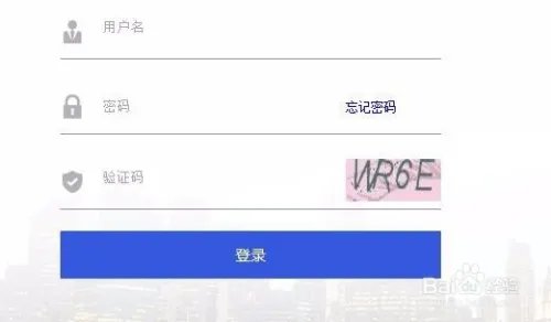 非法集资案件投资人信息登记平台怎么进入登记