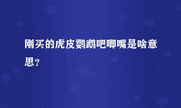 刚买的虎皮鹦鹉吧唧嘴是啥意思？