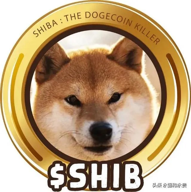 v神shib币