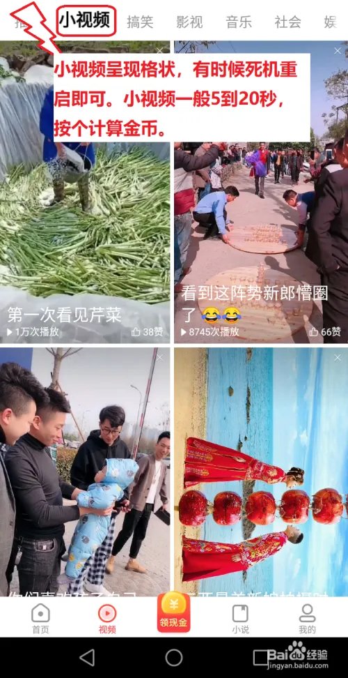 【看多多】app获得金币计算收入方法