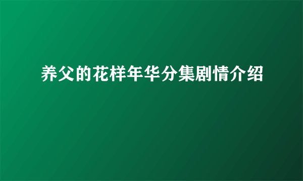 养父的花样年华分集剧情介绍