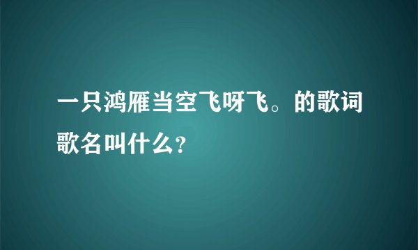 一只鸿雁当空飞呀飞。的歌词歌名叫什么?