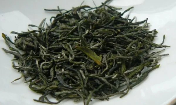 毛尖是绿茶吗