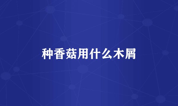 种香菇用什么木屑