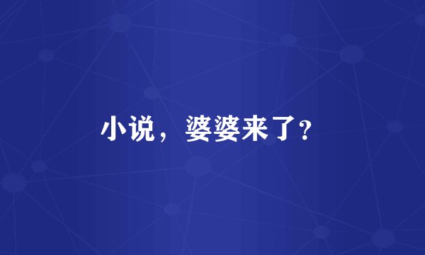 小说,婆婆来了?