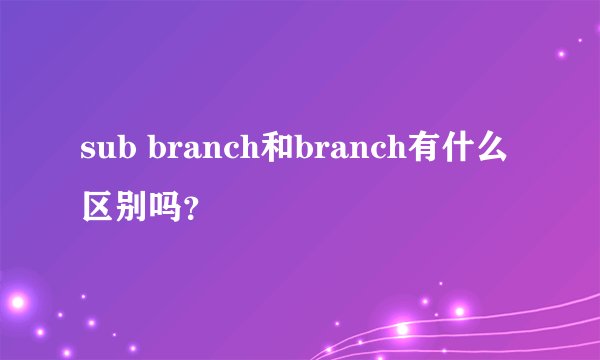 sub branch和branch有什么区别吗？
