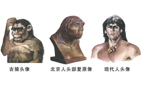 北京人和山顶洞人的区别