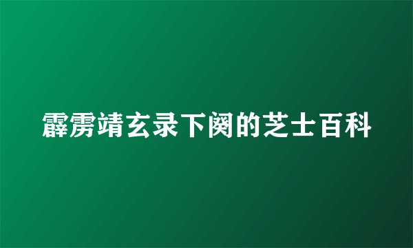 霹雳靖玄录下阕的芝士百科