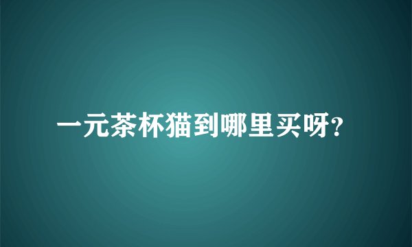 一元茶杯猫到哪里买呀？