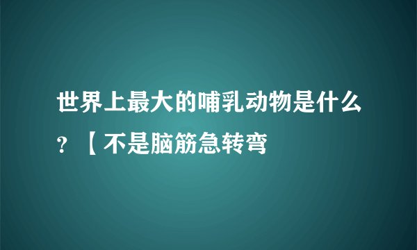 世界上最大的哺乳动物是什么？【不是脑筋急转弯