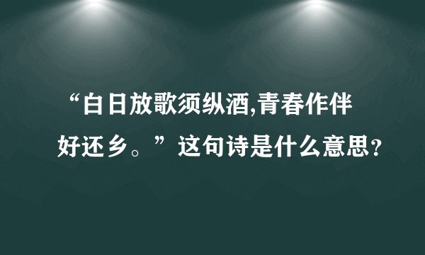 “白日放歌须纵酒,青春作伴好还乡。”这句诗是什么意思？