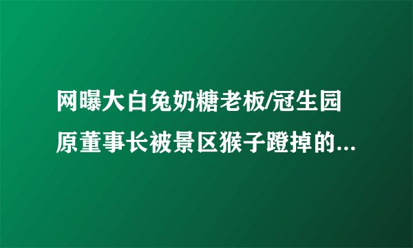 网曝大白兔奶糖老板/冠生园原董事长被景区猴子蹬掉的石块砸中身亡？官方回应