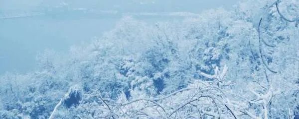雪的密度