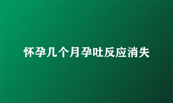 怀孕几个月孕吐反应消失