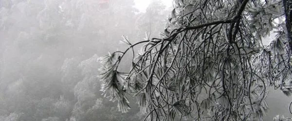 绍龙观的介绍