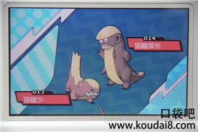 《口袋妖怪日月》阿罗拉图鉴及精灵分布