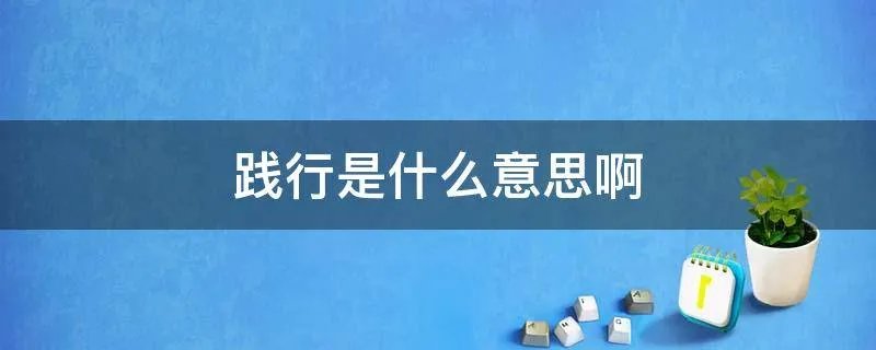 践行是什么意思啊