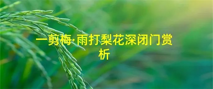 一剪梅·雨打梨花深闭门赏析