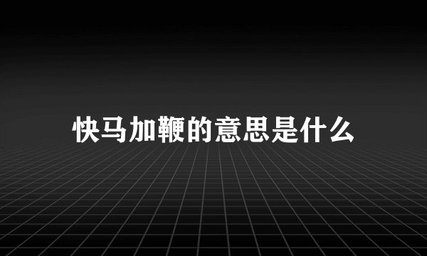 快马加鞭的意思是什么