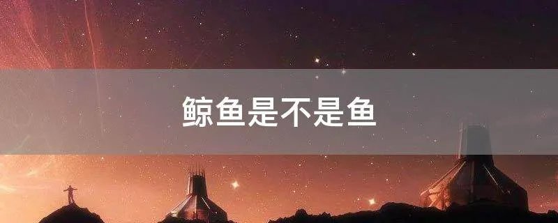 鲸鱼是不是鱼