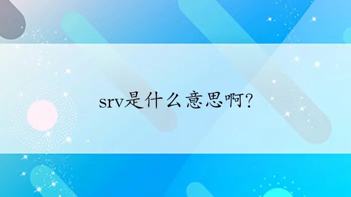 srv是什么意思啊？