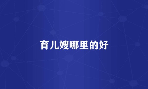 育儿嫂哪里的好