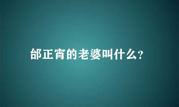 邰正宵的老婆叫什么？