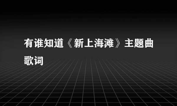 有谁知道《新上海滩》主题曲歌词