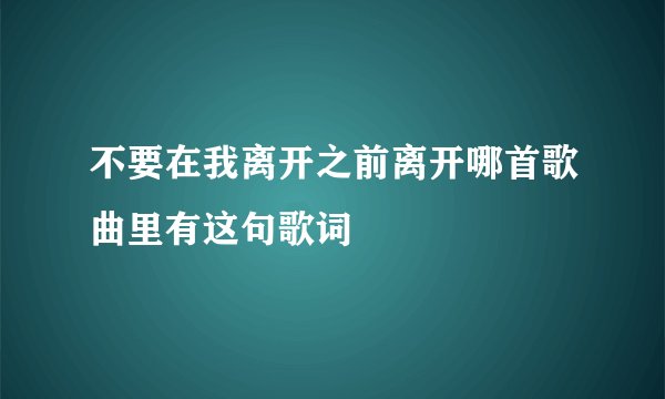 不要在我离开之前离开哪首歌曲里有这句歌词