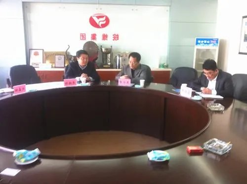 安徽皖维集团有限责任公司的集团概况