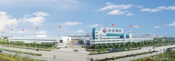 大全集团有限公司的简介
