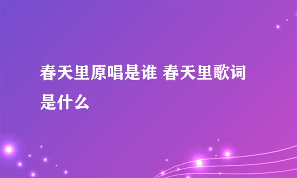 春天里原唱是谁 春天里歌词是什么