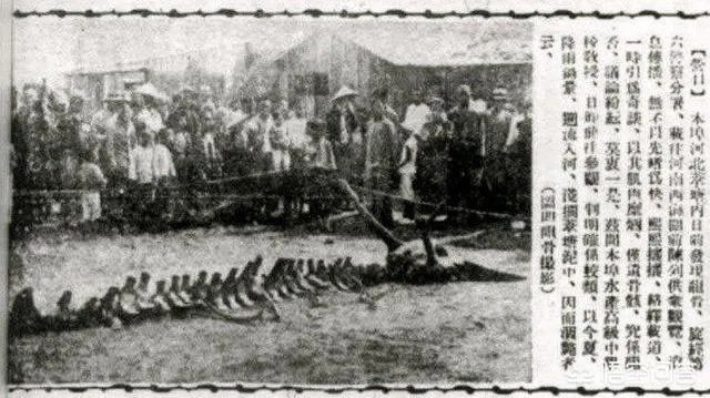 营口坠龙、松花江坠龙,为何历史上有那么多的坠龙事件?