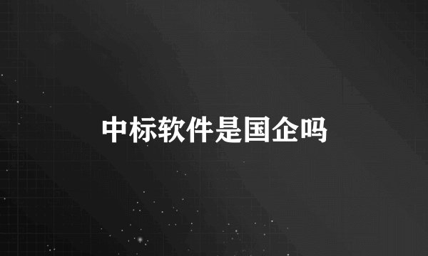 中标软件是国企吗