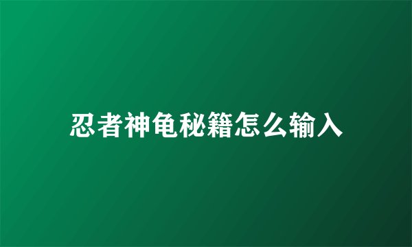 忍者神龟秘籍怎么输入