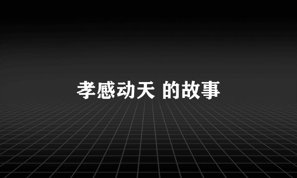 孝感动天 的故事