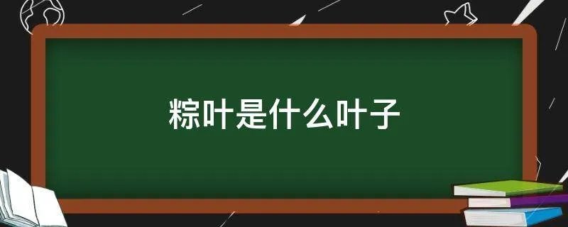 粽叶是什么叶子