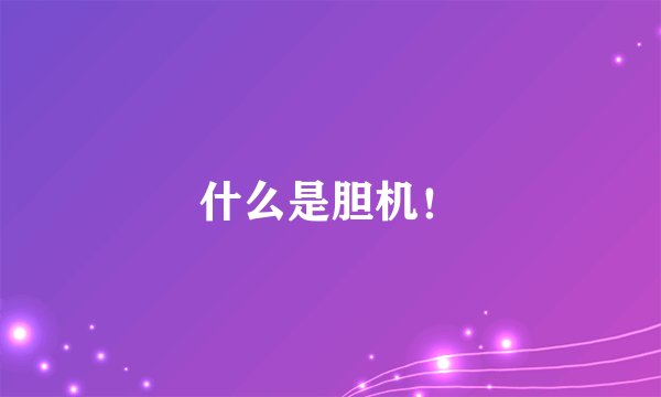 什么是胆机！