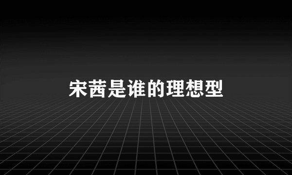 宋茜是谁的理想型