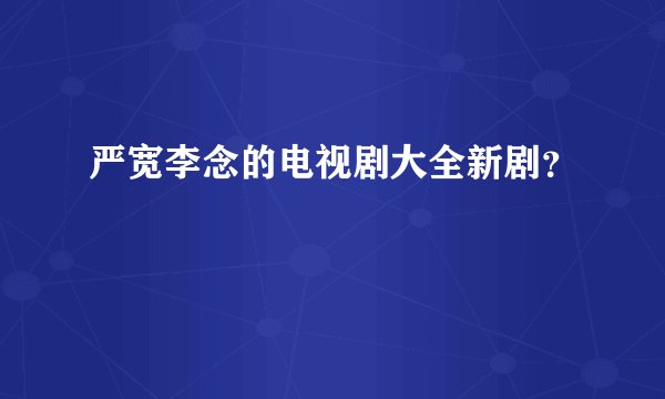 严宽李念的电视剧大全新剧?