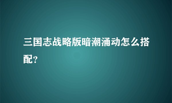 三国志战略版暗潮涌动怎么搭配？