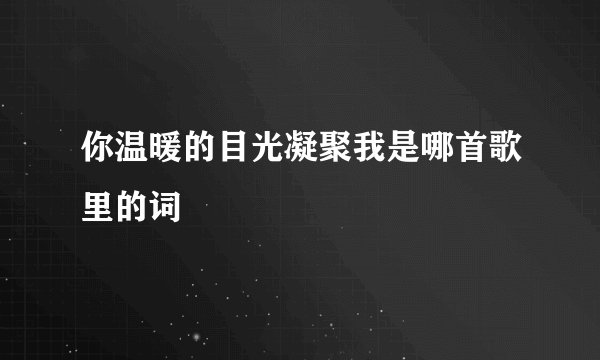 你温暖的目光凝聚我是哪首歌里的词