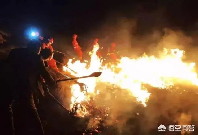 四川梁山大火为何要救，让其着完自己熄灭不行吗？