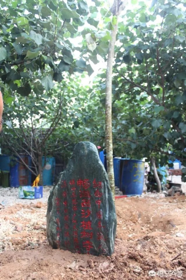 三沙市怎么出来的